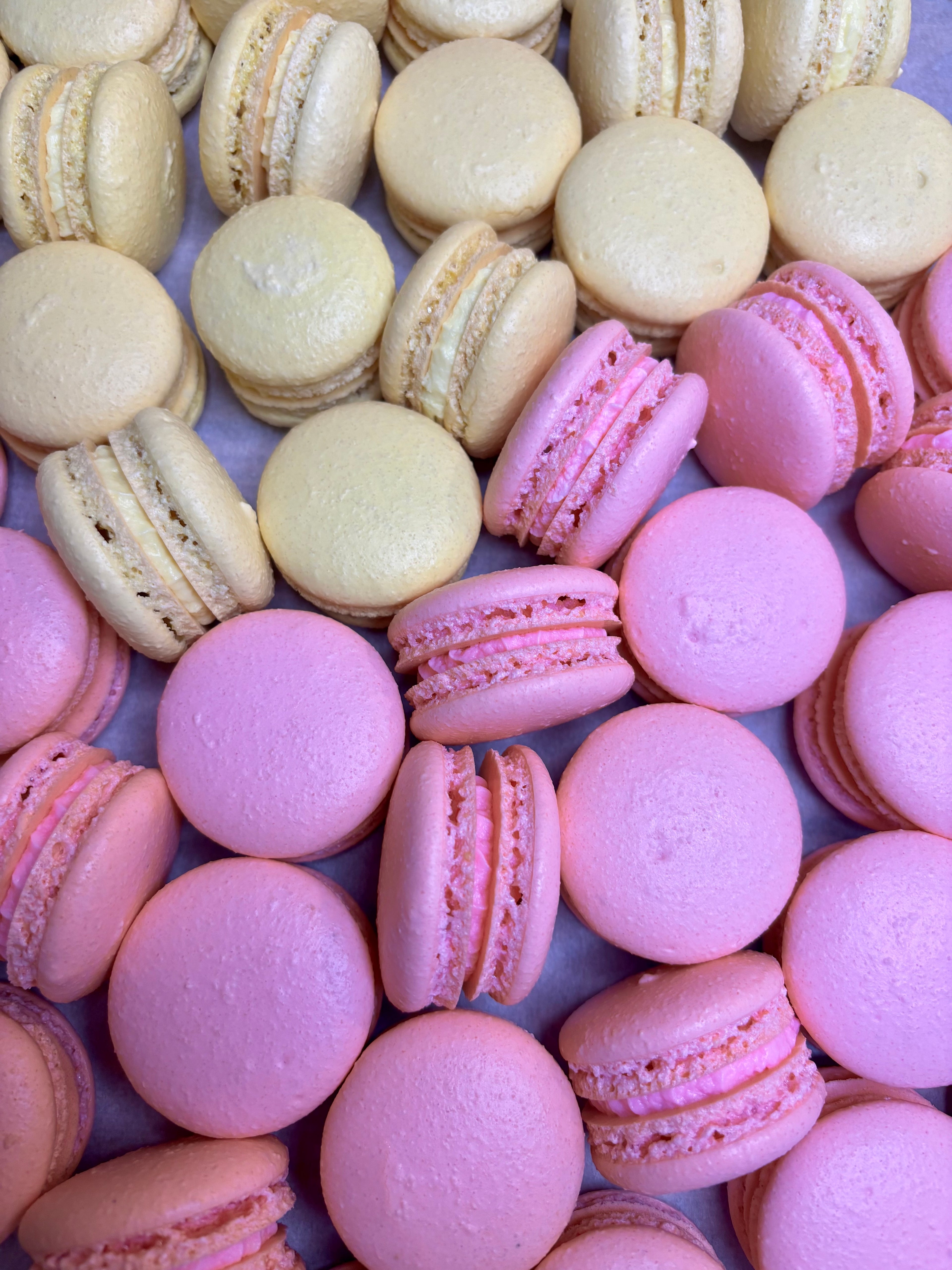 Macaron Variety Pack